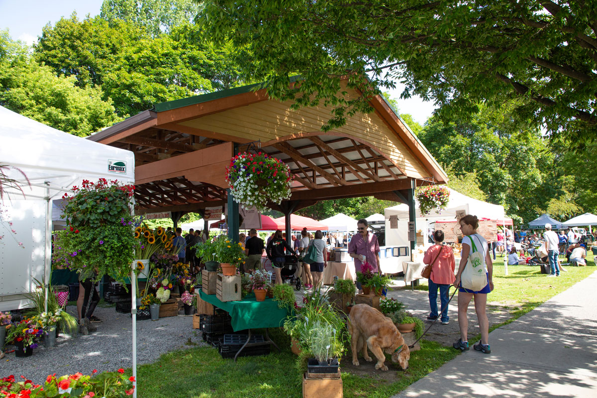 For over 45 years, The Saratoga Farmers’ Market Has Been an Award-Winning, Year-Round Market With an Array of Locally Grown & Sourced Products — come visit!