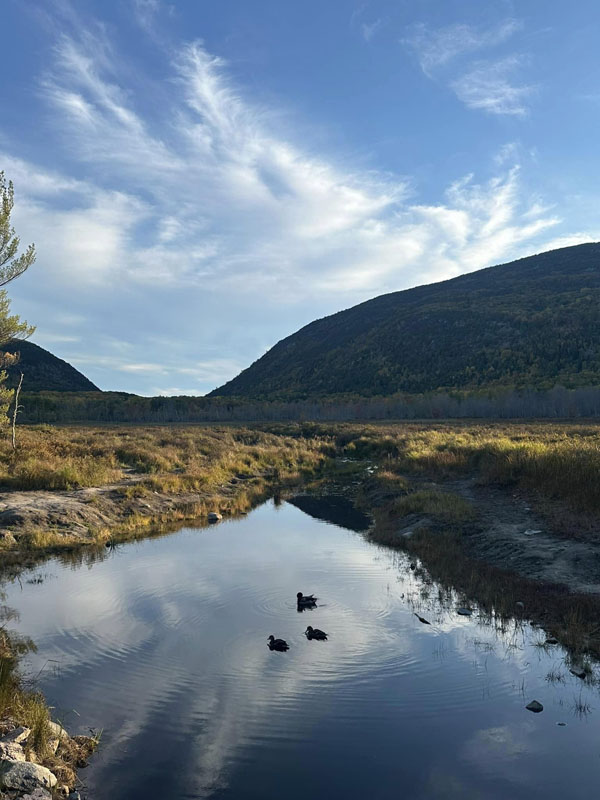 A New Journey Begins II