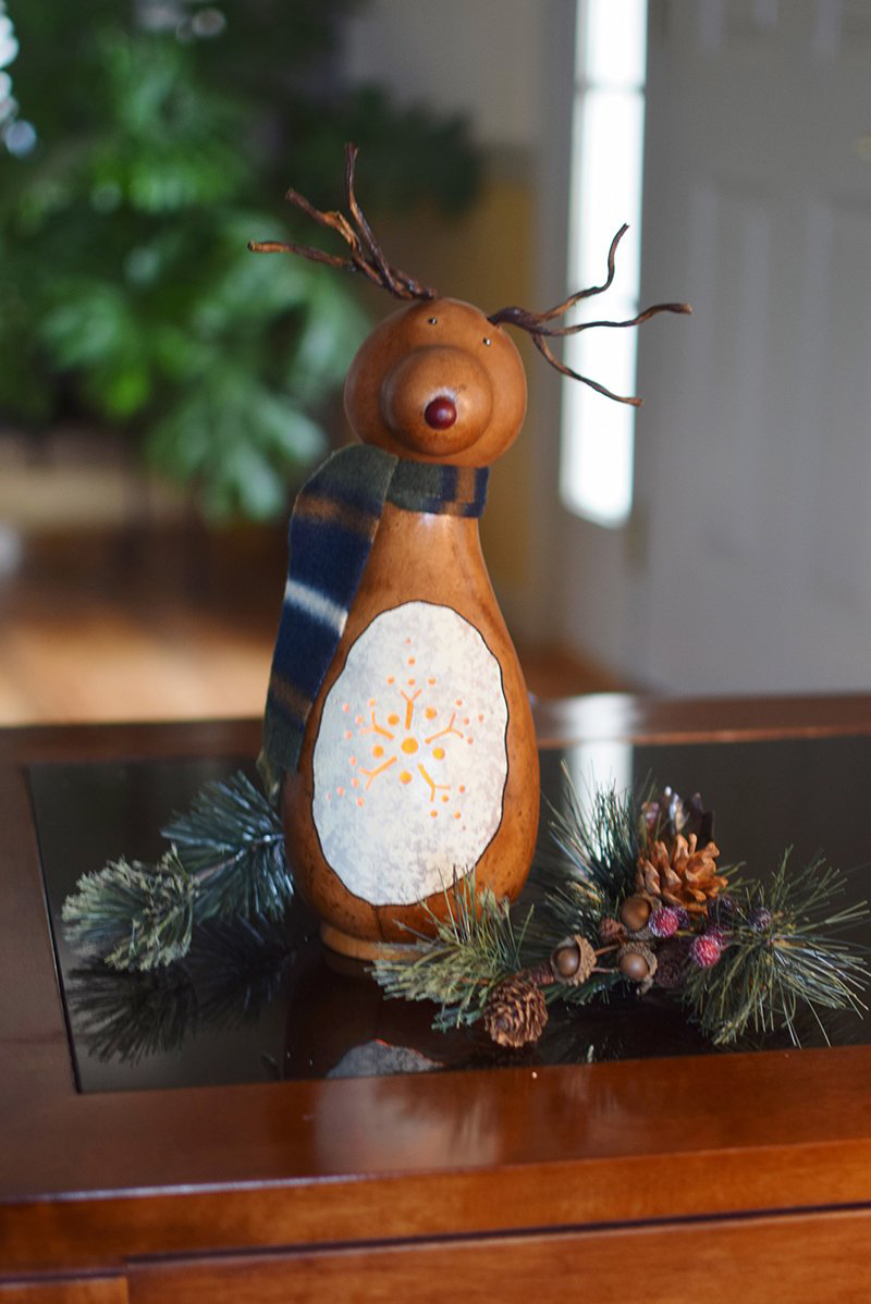 Colleen's Picks - Holiday 2024