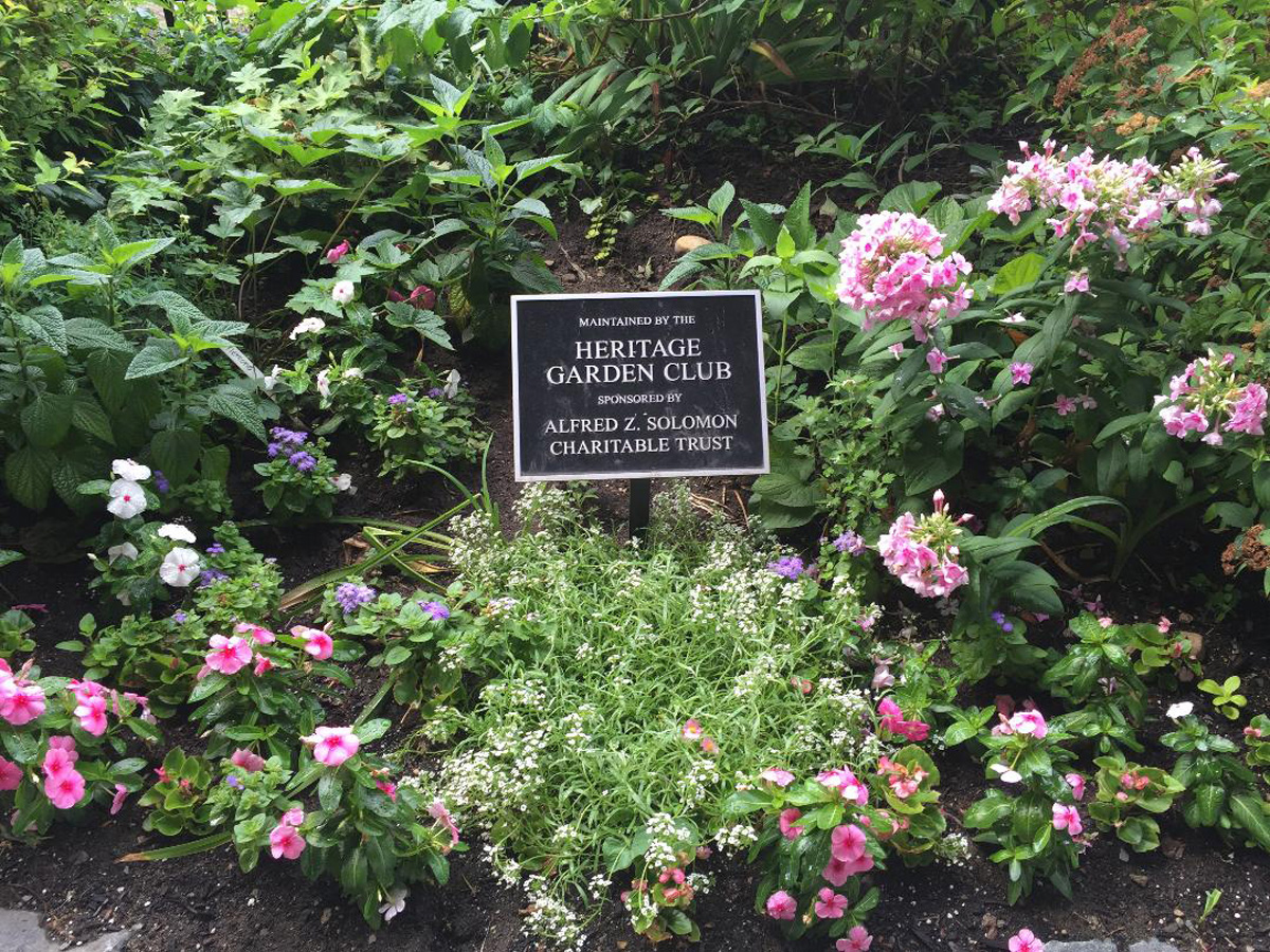 The Rebirth of a Garden