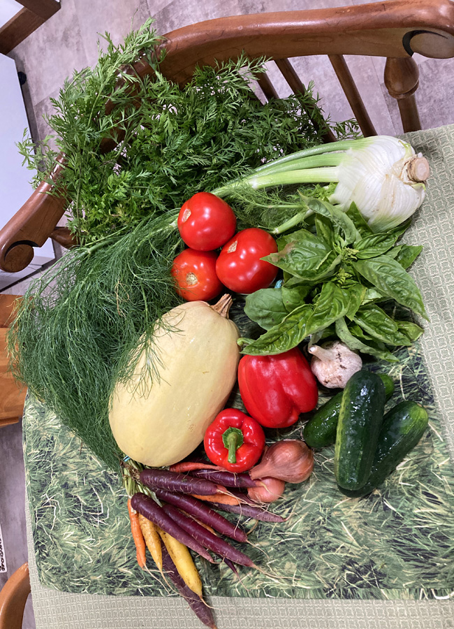Lessons From A Farm Share