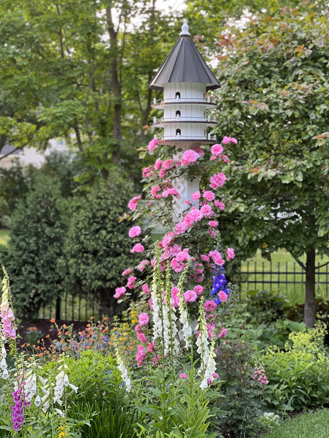 30th Anniversary! Saratoga Soroptimist Secret Gardens Tour