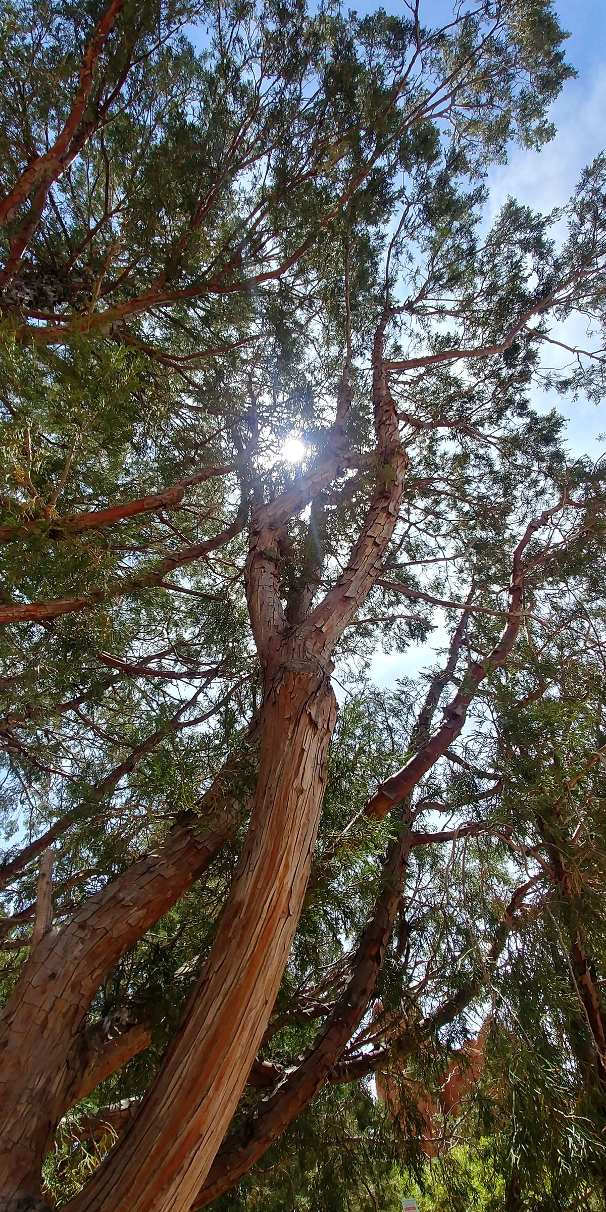 How do I work on creating daily moments of Peace & Joy?