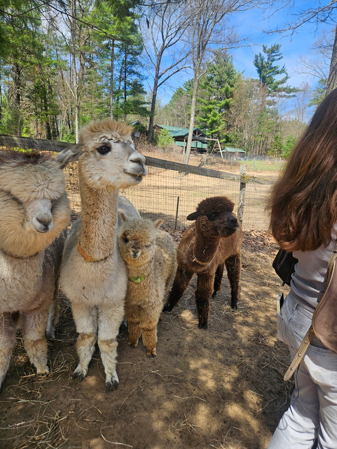 Saratoga  Farm  Showcase