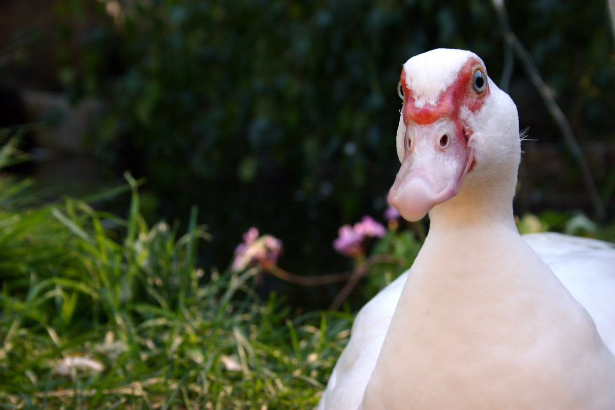 In the Kitchen with John Reardon