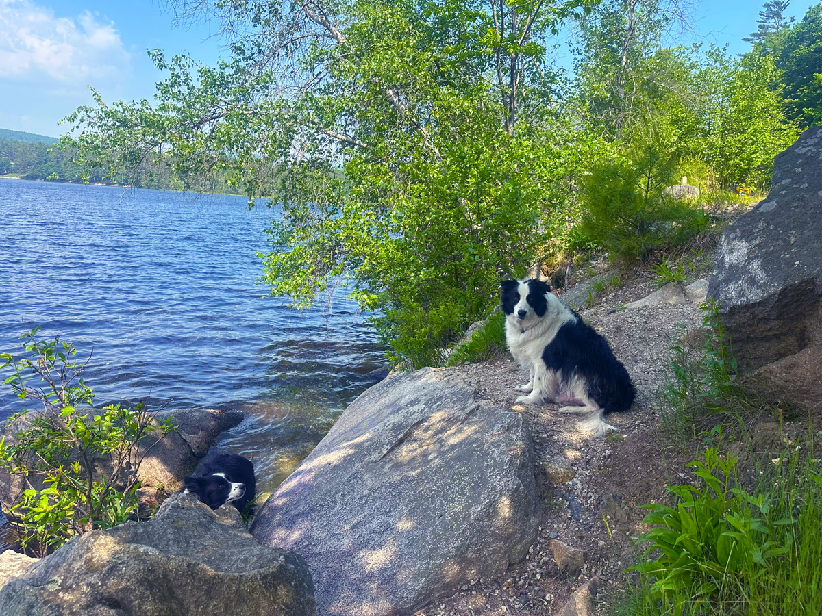 A New Journey Begins: Patty Older