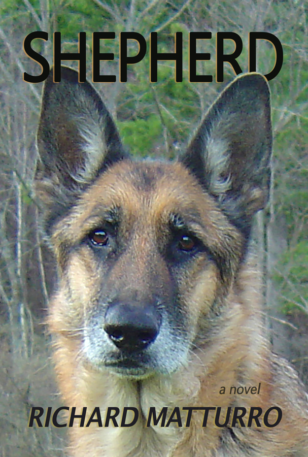 Shepherd: A Heartwarming Tale of Love & Loss