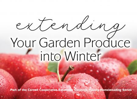 Extending Your Garden Produce into Winter